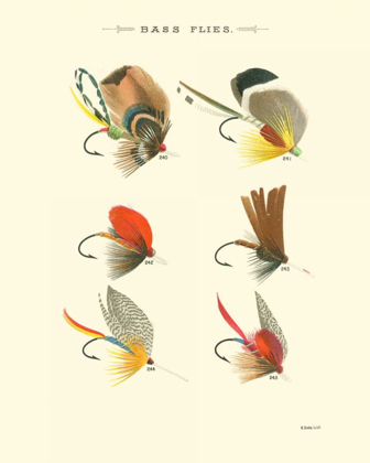 Picture of BASS FLIES II