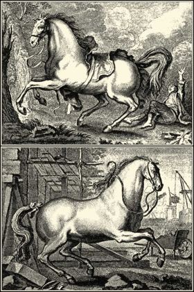 Picture of GALLOPING HORSES I