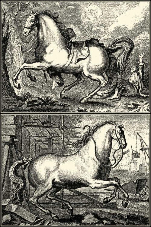 Picture of GALLOPING HORSES I