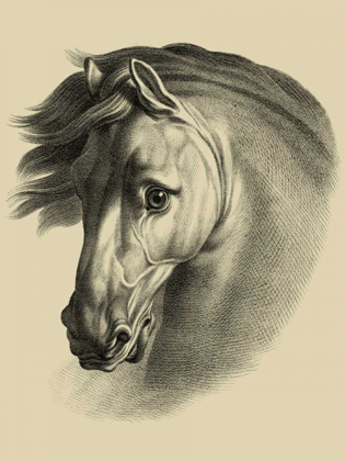 Picture of EQUESTRIAN PORTRAIT I