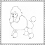 Picture of BEST IN SHOW III