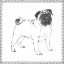 Picture of BEST IN SHOW VII