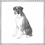 Picture of BEST IN SHOW XI