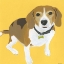 Picture of TELA