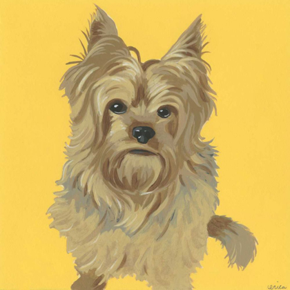 Picture of BUSTER