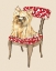 Picture of PAMPERED PET II