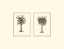 Picture of MINIATURE PALM II