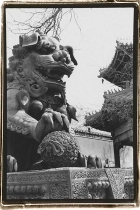 Picture of IMPERIAL LION, BEIJING