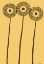 Picture of DANDY DICHROMATICS I