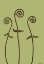 Picture of DICHROMATIC FIDDLEHEADS I