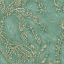 Picture of PRINTED TIFFANY LACE II