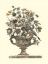 Picture of FLOWERS IN AN URN I - SEPIA