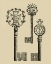 Picture of ANTIQUE KEYS I