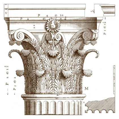 Picture of SMALL CORINTHIAN DETAIL II