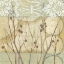 Picture of SMALL WILLOW AND LACE I