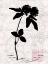 Picture of SMALL POSTSCRIPT II