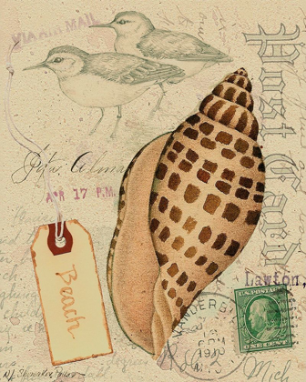 Picture of POSTCARD SHELLS I