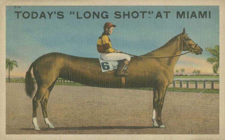Picture of LONG SHOT