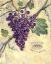 Picture of CABERNET SAUVIGNON