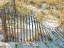 Picture of SEA OATS III
