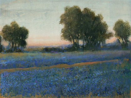 Picture of BLUE BONNET FIELD II