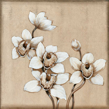 Picture of WHITE ORCHID I