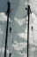 Picture of CARIBBEAN VESSEL IV
