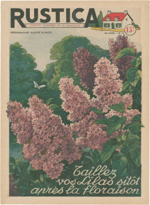 Picture of PLANTEZ DES LILACS