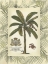 Picture of PALM IN BAMBOO FRAME II