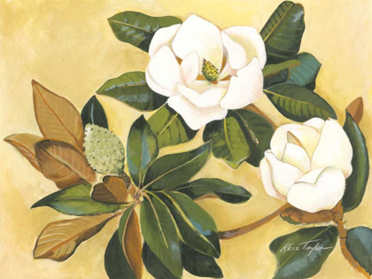 Picture of SOUTHERN MAGNOLIA I