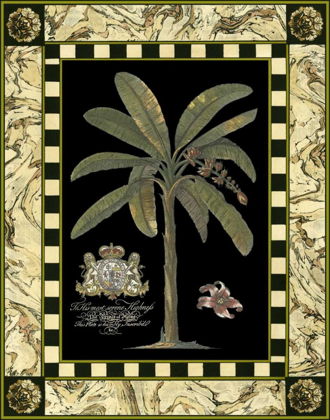 Picture of BORDERED PALMS ON BLACK II