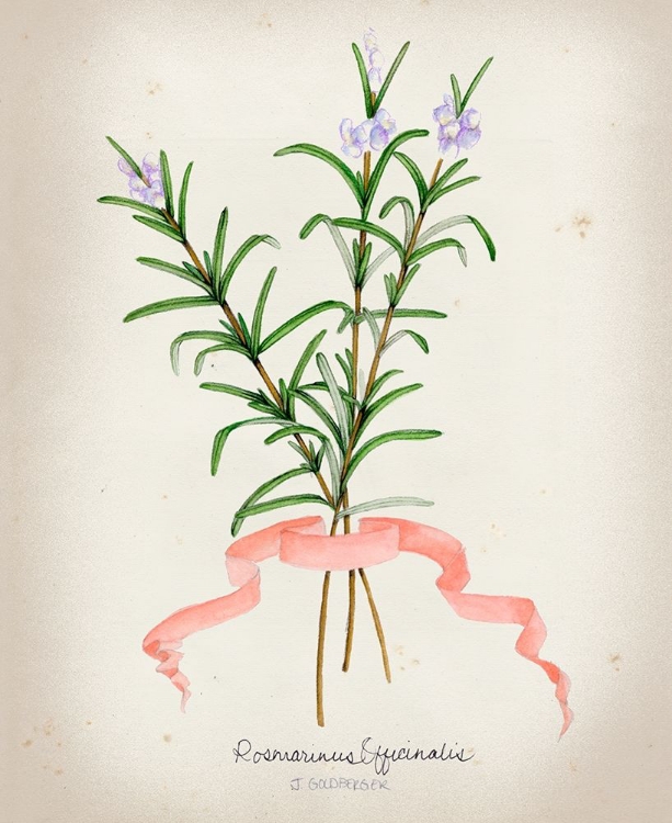 Picture of HERB SERIES III