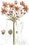 Picture of ANTIQUE FLORAL PLATE IV