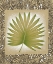 Picture of EXOTIC PALM LEAF II