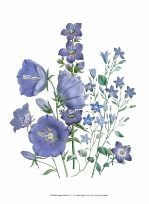 Picture of LOUDON FLORALS II
