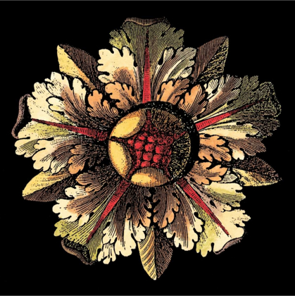 Picture of ROSETTE ON BLACK III