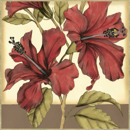 Picture of CROPPED SOPHISTICATED HIBISCUS II
