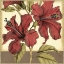 Picture of CROPPED SOPHISTICATED HIBISCUS II