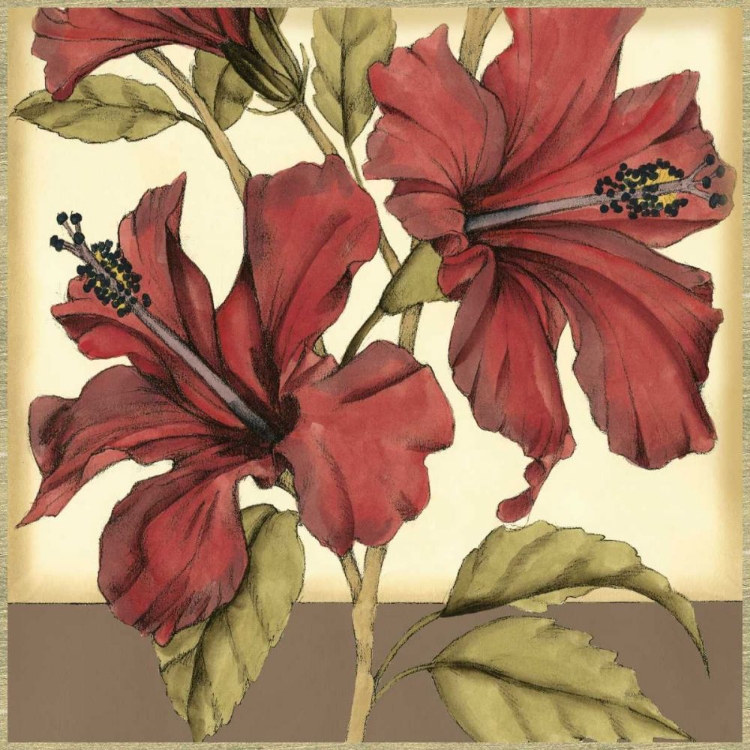 Picture of CROPPED SOPHISTICATED HIBISCUS II