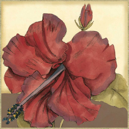 Picture of CROPPED SOPHISTICATED HIBISCUS III 