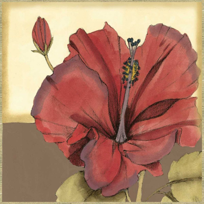 Picture of CROPPED SOPHISTICATED HIBISCUS IV 