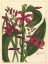Picture of FLEUR DE ROUGE III