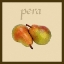 Picture of ITALIAN FRUIT II