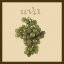 Picture of ITALIAN FRUIT IV