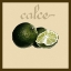 Picture of ITALIAN FRUIT V