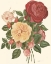 Picture of VINTAGE ROSES I