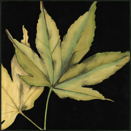 Picture of SMALL TANDEM LEAVES I