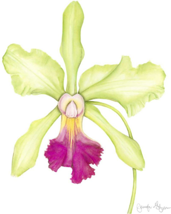Picture of SMALL ORCHID BEAUTY III