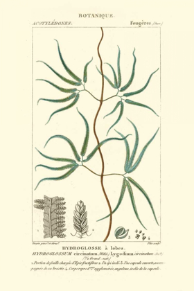 Picture of TURPIN BOTANY II