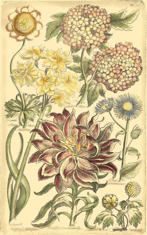 Picture of FLORAL BOUNTY I